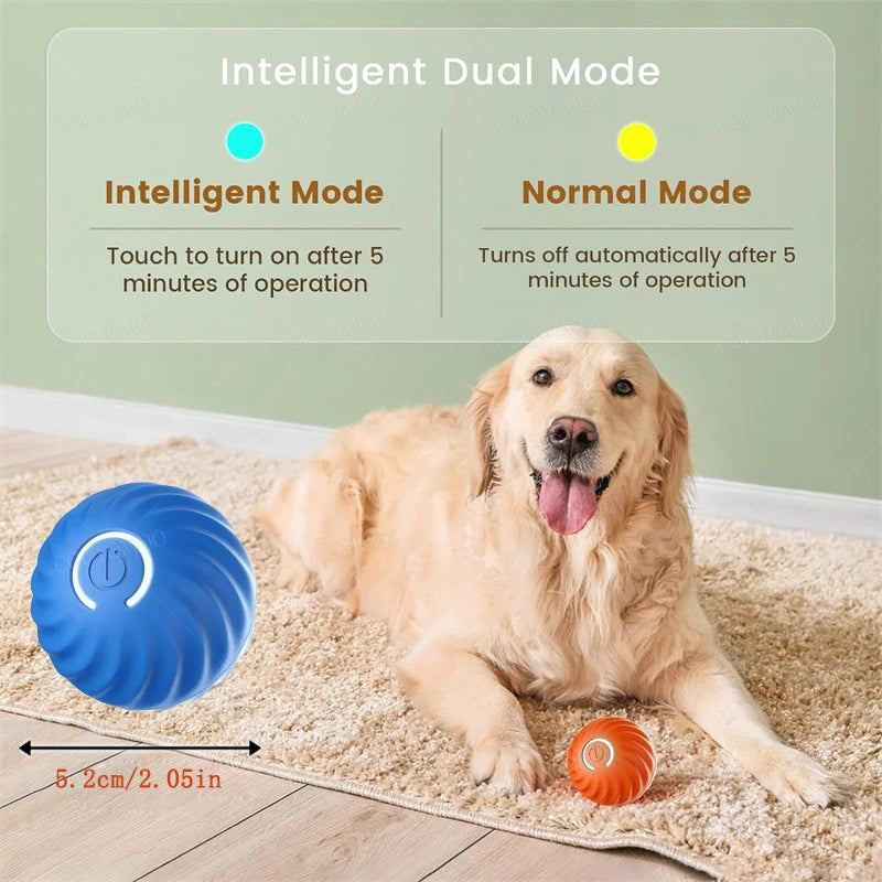 Smart Dog Toy for Puppy Christmas gift Product