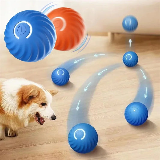 Smart Dog Toy for Puppy Christmas gift Product