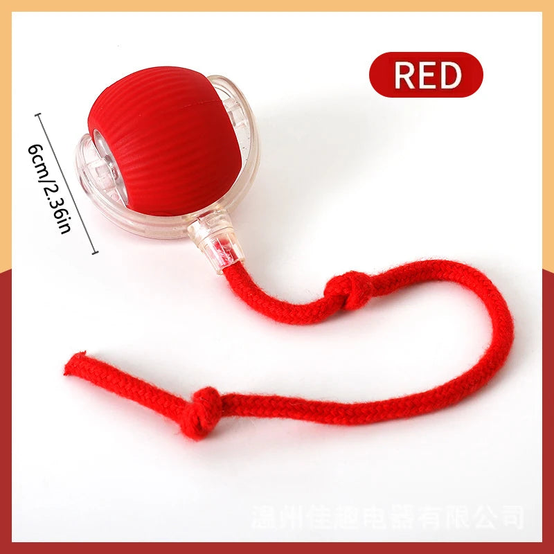 Smart Dog Toy for Puppy Christmas gift Product
