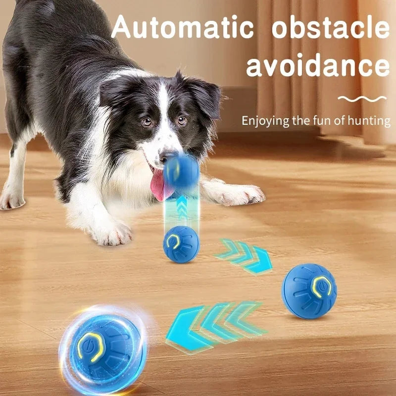 Smart Dog Toy for Puppy Christmas gift Product