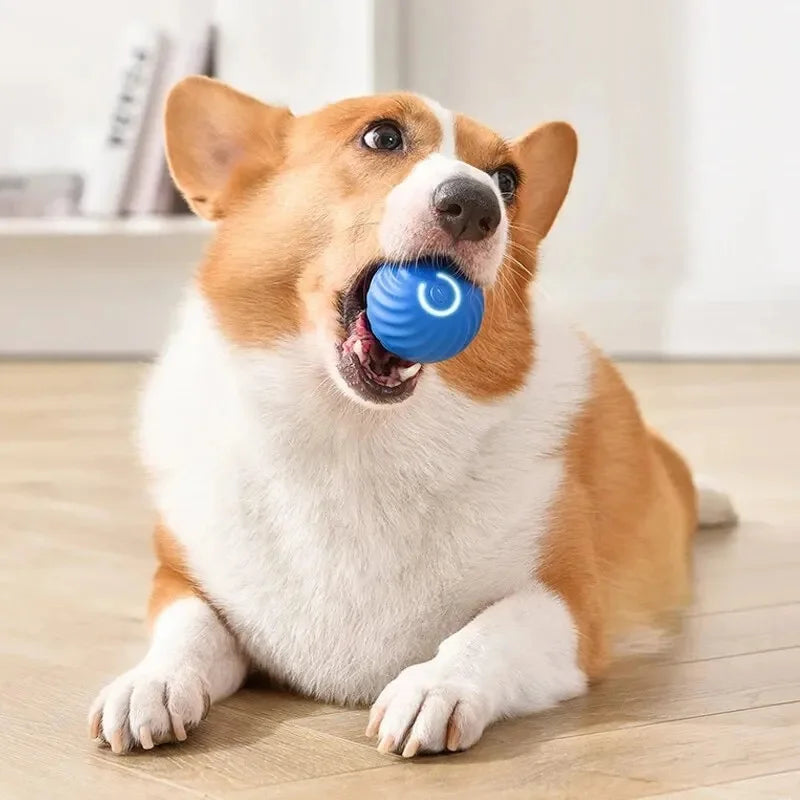Smart Dog Toy for Puppy Christmas gift Product
