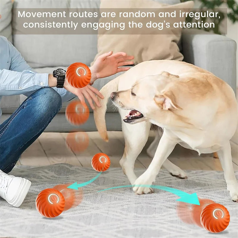 Smart Dog Toy for Puppy Christmas gift Product